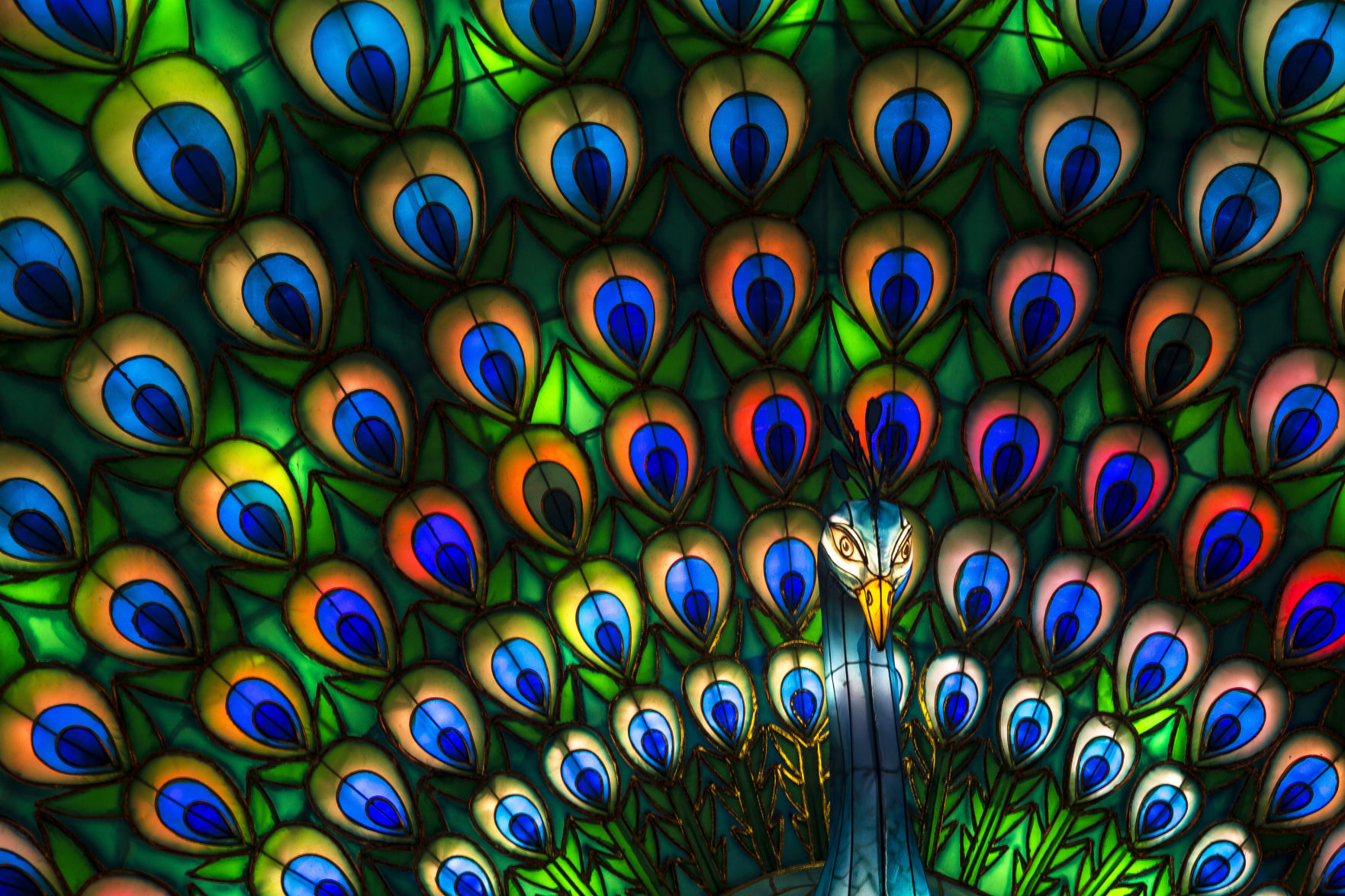 Chinese Lanterns Magnolia02.JPG
